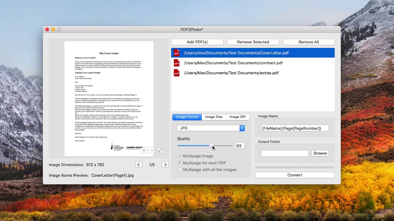 convert pdf to word for mac os x